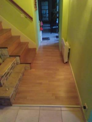 ridard1_original
